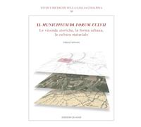 Il Municipium di Forum Fulvii. Le vicende storiche, la forma urbana, la cultura materiale
