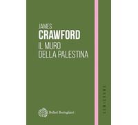 Il muro della Palestina