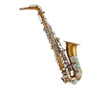 Il Musicista Professionista Utilizza Il Sassofono Contralto E Laccato Oro Champagne Kit Sassofono