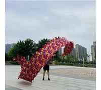 Il nastro del drago, Nastri for esercizi ritmici Dragon Head in multicolore, 8m-10m con testa 400G-550G(Red,8m/26ft Head 550G)