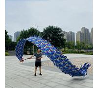 Il nastro del drago, Nastri for esercizi ritmici Dragon Head in multicolore, 8m-10m con testa 400G-550G(Blue,8m/26ft Head 400G)