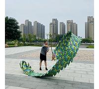 Il nastro del drago, Nastri for esercizi ritmici Dragon Head in multicolore, 8m-10m con testa 400G-550G(Green,10m/33ft Head 550G)