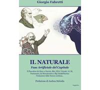 Il naturale. Fase artificiale del capitale