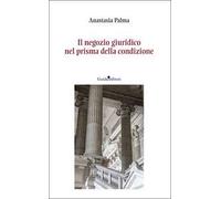 Il negozio giuridico nel prisma della condizione