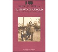 Il nervo di Arnold. Saggi e note sulla poesia contemporanea