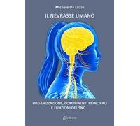 Il nevrasse umano. Organizzazione, componenti principali e funzioni del SNC