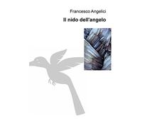 Il nido dell'angelo