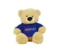 Il nostro messaggio Normandie-Bleu Pe