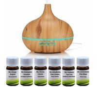 Il nostro Set di Diffusore Premium con Sei Oli Essenziali Bio Esclusivi - Diffusore 6 x 10 ml