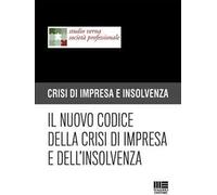 Il nuovo codice della crisi di impresa e dell'insolvenza