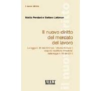 Il nuovo diritto del mercato del lavoro