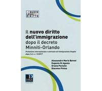 Il nuovo diritto dell'immigrazione dopo il decreto Minniti-Orlando. Protezione internazionale e contrasto all'immigrazione illegale dopo il d.l. n. 13/2017