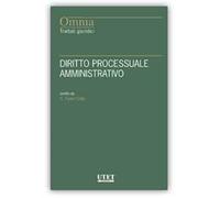 Il nuovo diritto processuale amministrativo