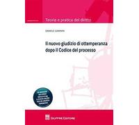 Il nuovo giudizio di ottemperanza dopo il codice del processo