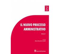 Il nuovo processo amministrativo. Studi e contributi. Vol. 1