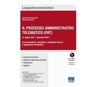 Il nuovo processo amministrativo telematico (PAT)