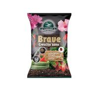 Il Paese Verde - Brave Crescita Sana 4kg - Concime Organico Biologico con Micorrize - Concime Universale Adatto ad Ogni Pianta - Favorisce la Radicazione - Migliora la Salute delle Piante