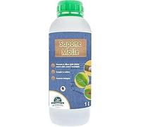 Il Paese Verde Sapone Molle 1l Protezione per Piante Stressate dalla Presenza di Insetti - Potassico - Prodotto Consentito in Agricoltura Biologica