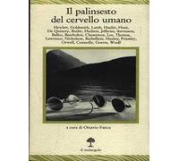 Il palinsesto del cervello umano