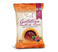 Il Pane di Anna IL PANE DI ANNA CROSTATINA AI FRUTTI DI BOSCO 45G