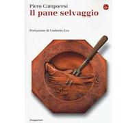 Il pane selvaggio