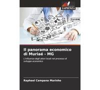 Il panorama economico di Muriaé - MG: L'influenza degli attori locali nel processo di sviluppo economico