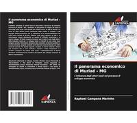 Il panorama economico di Muriaé - MG: L'influenza degli attori locali nel processo di sviluppo economico