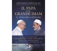 Il Papa e il Grande Imam. Il percorso spinoso. Una testimonianza sulla nas...