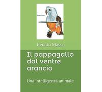 Il pappagallo dal ventre arancio: Una intelligenza animale