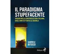 Il paradigma stupefacente. Viaggio nella controcultura italiana dagli anni Settanta al Duemila