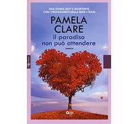 Il paradiso non può attendere