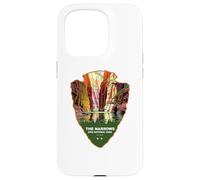 Il Parco Nazionale Narrows Zion Utah Custodia per iPhone 15 Pro