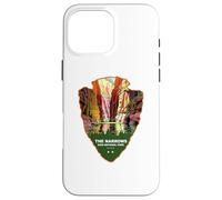 Il Parco Nazionale Narrows Zion Utah Custodia per iPhone 16 Pro Max