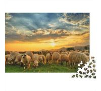 Il pascolo delle pecore Rompicapo 1000 Pezzi In Cartone Di Alta Qualità, Un Premium Jigsaw Puzzle Per Enigma Di Abilità Logica, Ideale Per Attività Per Giorni Di Pioggia, Regalo Per L'inau