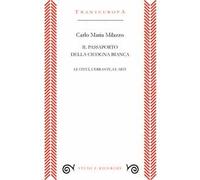 Il passaporto della cicogna. Le città, l'errante, le arti