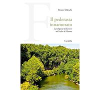 Il pederasta innamorato. L'ambiguità dell'amore nel Fedro di Plat