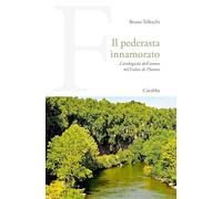 Il pederasta innamorato. L'ambiguità dell'amore nel Fedro di Platone