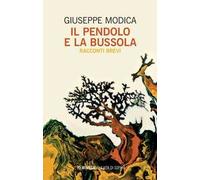 Il pendolo e la bussola