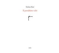 Il penultimo velo
