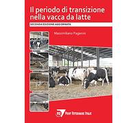 Il periodo di transizione nella vacca da latte