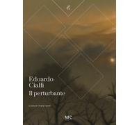 Il perturbante. Edoardo Cialfi - [Agenzia NFC]
