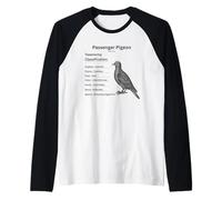 Il Piccione passeggero Maglia con Maniche Raglan