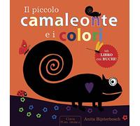 Il piccolo camaleonte e i colori
