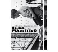 Il Piccolo Fuggitivo (DVD) Andrusco Brewster