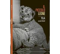 Il piccolo leone. Ediz. illustrata