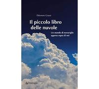 Il piccolo libro delle nuvole. Un mondo di meraviglie appena sopra di noi