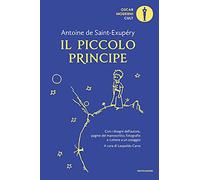 Il Piccolo Principe-Lettera a un ostaggio