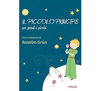 Il piccolo principe per grandi e piccini