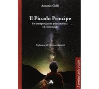 Il Piccolo Principe. Un'interpretazione psicoanalitica ed esistenziale