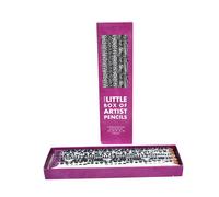 Il Piccolo Scatola Da Artista Matite